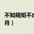 不知规矩不成方圆打一生肖（不成方圆打一生肖）