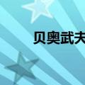 贝奥武夫游戏攻略（psp贝奥武夫）