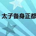 太子备身正都督（关于太子备身正都督简介）