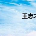 王志才的妻子（王志才前妻）