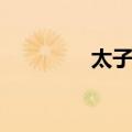 太子关（关于太子关简介）