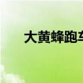 大黄蜂跑车多少钱一台（大黄蜂跑车）