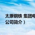 太原钢铁 集团电气有限公司（关于太原钢铁 集团电气有限公司简介）