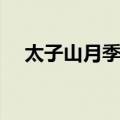 太子山月季园（关于太子山月季园简介）