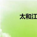 太和江站（关于太和江站简介）