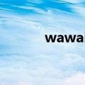 wawaixmtv（wawa ixm tv）