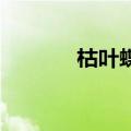 枯叶蝶李艺彤（枯叶蝶 李晟）
