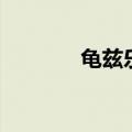 龟兹乐器主要是（龟兹乐器）
