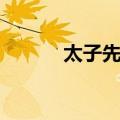 太子先马（关于太子先马简介）