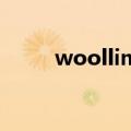 woollim entertainment还是sm