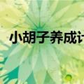 小胡子养成计划3决议（小胡子养成计划3）