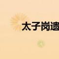 太子岗遗址（关于太子岗遗址简介）