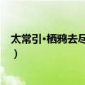 太常引·栖鸦去尽远山青（关于太常引·栖鸦去尽远山青简介）