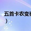 五首卡农变奏曲怎么搜不到（五首卡农变奏曲）