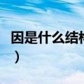 因是什么结构的字一年级（因是什么结构的字）