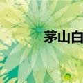 茅山白莲教祖师（茅山白莲教）