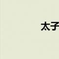 太子池（关于太子池简介）
