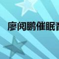 廖阅鹏催眠音乐在线听（廖阅鹏催眠音乐）