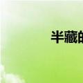 半藏的武士刀（服部半藏刀）