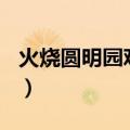 火烧圆明园观后感600字（火烧圆明园观后感）