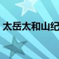 太岳太和山纪略（关于太岳太和山纪略简介）
