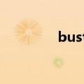 bustop拉杆箱（bustop）