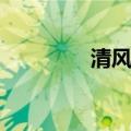 清风摇影图片（清风恋影）