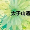 太子山遗址（关于太子山遗址简介）