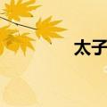 太子湖（关于太子湖简介）