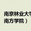 南京林业大学南方学院学信网（南京林业大学南方学院）