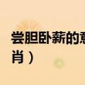 尝胆卧薪的意思打一生肖（卧薪尝胆打一个生肖）