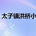 太子镇洪桥小学（关于太子镇洪桥小学简介）