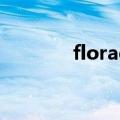 floradix iron and vitamin