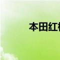 本田红标思域typer（本田红标）