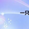 一只小小虫（一条小小虫）