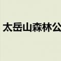 太岳山森林公园（关于太岳山森林公园简介）