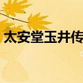 太安堂玉井传奇（关于太安堂玉井传奇简介）