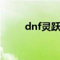 dnf灵跃武器在哪（dnf灵跃武器）