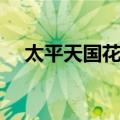 太平天国花钱（关于太平天国花钱简介）