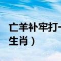 亡羊补牢打一个生肖025期（亡羊补牢打一个生肖）