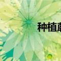 种植蘑菇赚钱吗（种植蘑菇）