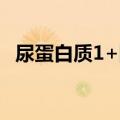 尿蛋白质1+阴性是什么意思（尿蛋白质1）