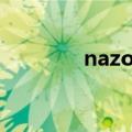 nazo level4（nazo level）