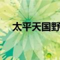 太平天国野史（关于太平天国野史简介）