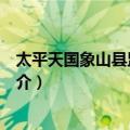 太平天国象山县监军令旗（关于太平天国象山县监军令旗简介）