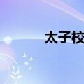 太子校书（关于太子校书简介）