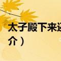 太子殿下来还债了（关于太子殿下来还债了简介）