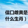 信口雌黄是什么生肖 百度网盘（信口雌黄是什么生肖）