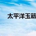 太平洋玉筋鱼（关于太平洋玉筋鱼简介）