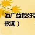 潘广益我好想你另一个名字（我好想你潘广益歌词）
